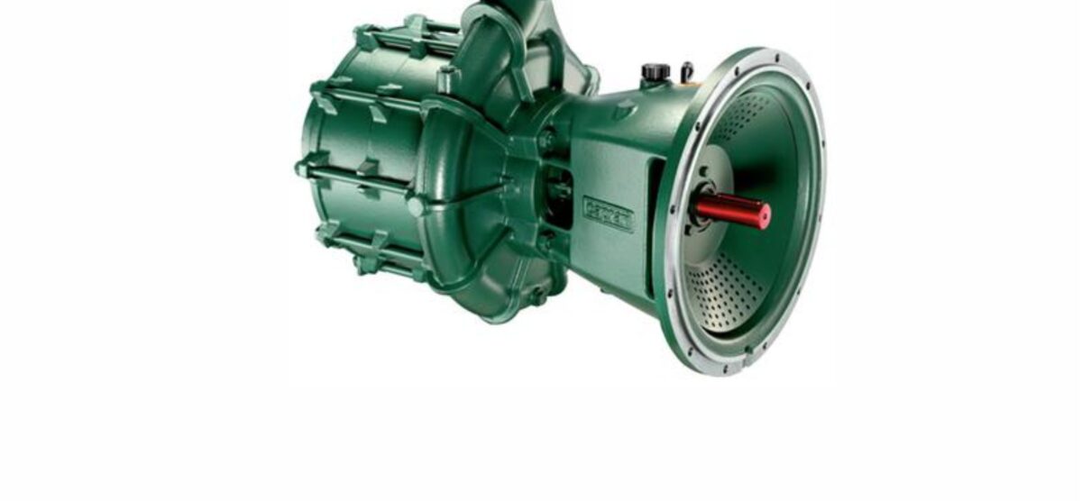 Motopompe Seria Caprari